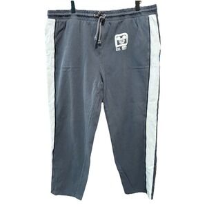 Disney Sweatpants Adult Gray Spirit Jersey  Bottoms Track Pants XXL (40x28)